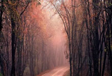 虎扑：特裏與PrimaryBid考慮購買切爾西10%股份.