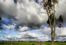 虎扑：[NBA]全明星周末全明星赛 库里集锦.