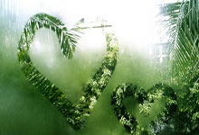 “益”起来!长沙市“小球大爱”小学生慈善足球赛搭建爱心舞台.