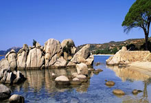 2022賽季中超分組名單.